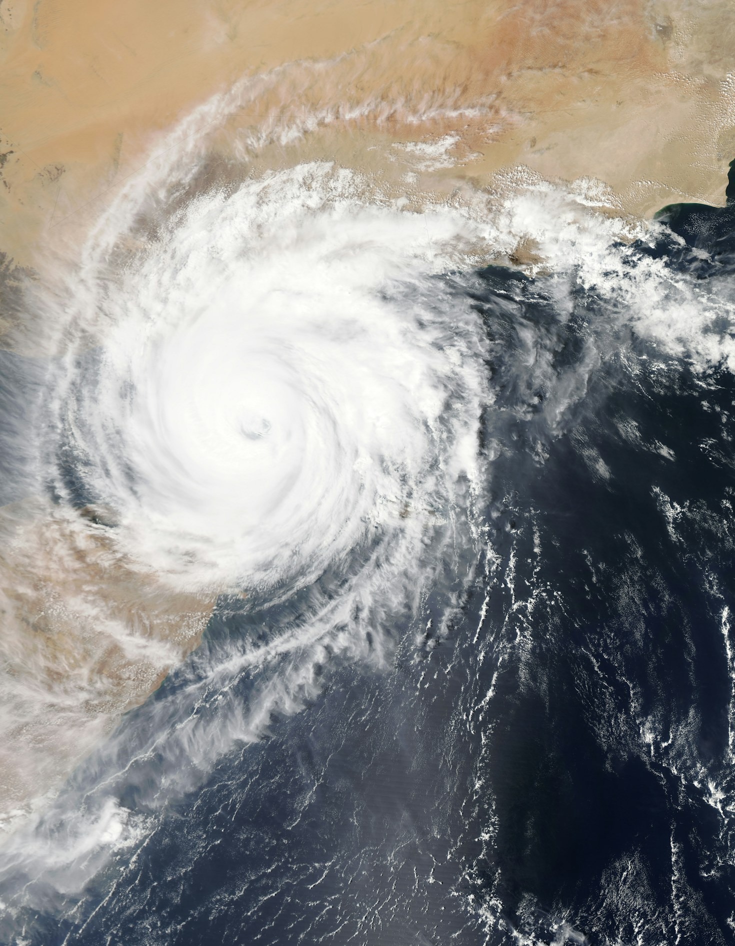 How Accurate Weather Updates Can Simplify Your Life