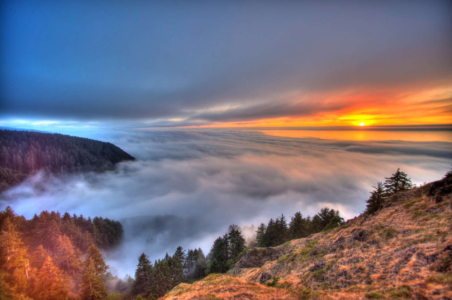 Using Weather Insights to Enhance Outdoor Activities