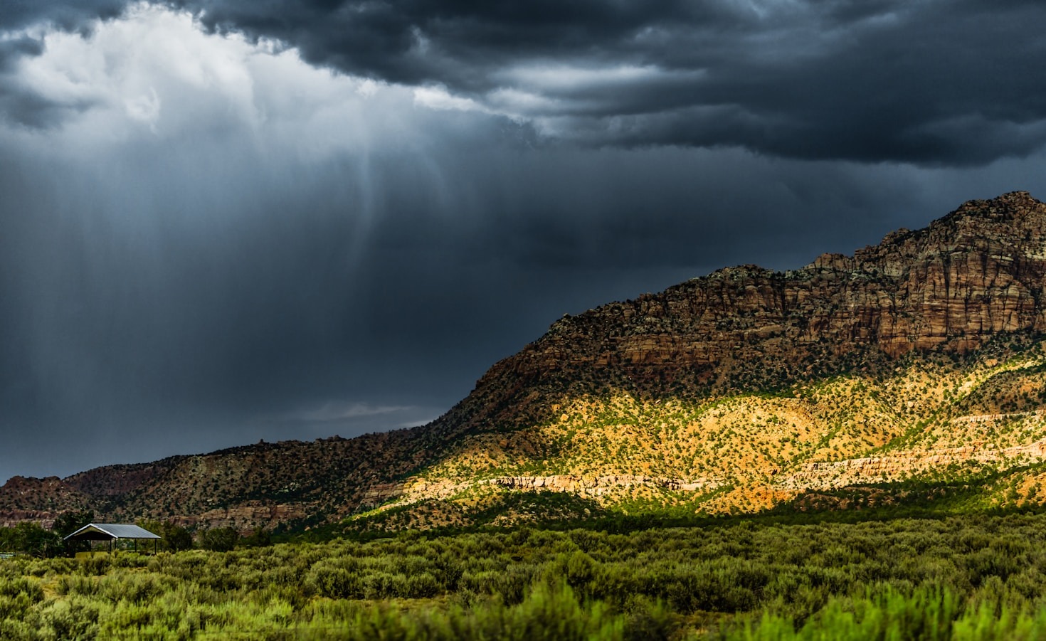 Understanding Local Weather Patterns with WeatherToday ID